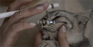 apple_img6