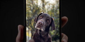 908e7bb3bcd94892b9b84c684862a459_th